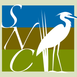 Orchid and Plant Festival February 2026 - logo